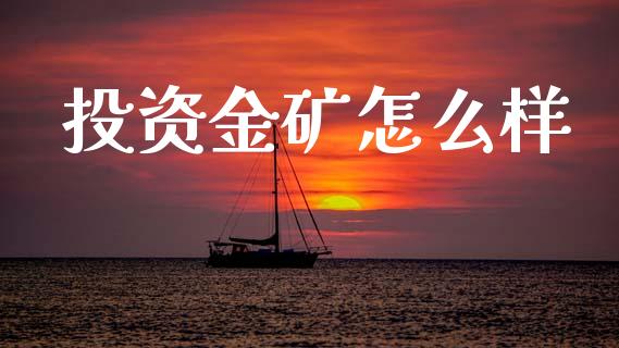 投资金矿怎么样_https://m.jnlaobingbanjia.com_股市新闻_第1张