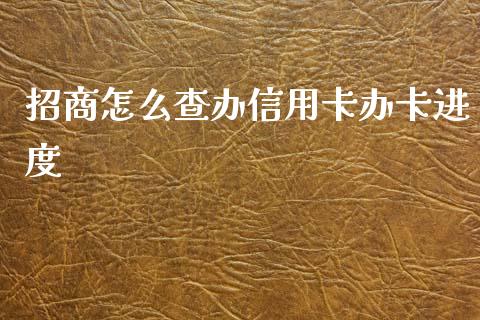 招商怎么查办信用卡办卡进度_https://m.jnlaobingbanjia.com_金融监管_第1张
