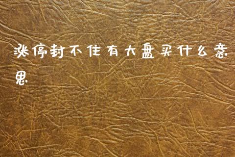 涨停封不住有大盘买什么意思_https://m.jnlaobingbanjia.com_理财规划_第1张