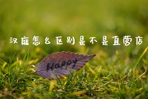 汉庭怎么区别是不是直营店_https://m.jnlaobingbanjia.com_理财规划_第1张