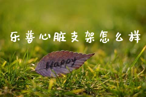 乐普心脏支架怎么样_https://m.jnlaobingbanjia.com_全球市场_第1张
