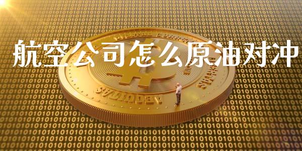 航空公司怎么原油对冲_https://m.jnlaobingbanjia.com_理财规划_第1张