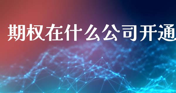 期权在什么公司开通_https://m.jnlaobingbanjia.com_理财规划_第1张