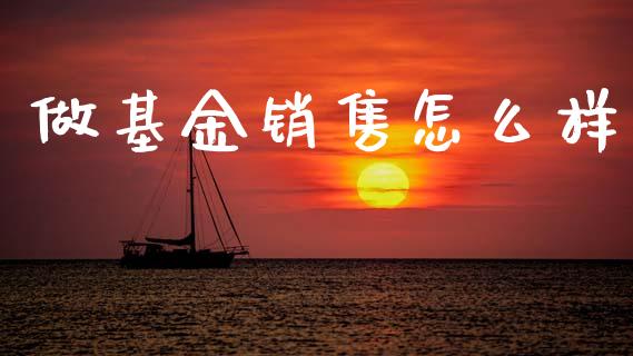 做基金销售怎么样_https://m.jnlaobingbanjia.com_基金市场_第1张