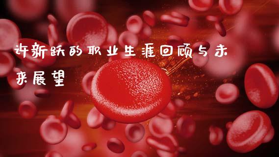 许新跃的职业生涯回顾与未来展望_https://m.jnlaobingbanjia.com_区块链_第1张