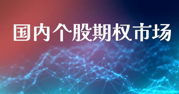 国内个股期权市场_https://m.jnlaobingbanjia.com_理财规划_第1张