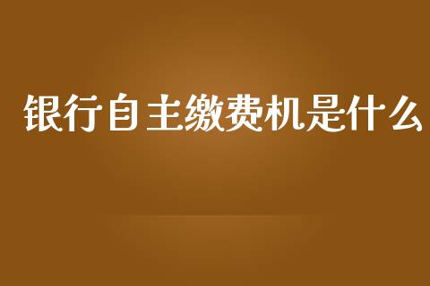 银行自主缴费机是什么_https://m.jnlaobingbanjia.com_基金市场_第1张