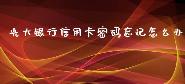 光大银行信用卡密码忘记怎么办_https://m.jnlaobingbanjia.com_理财规划_第1张