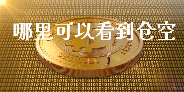 哪里可以看到仓空_https://m.jnlaobingbanjia.com_区块链_第1张