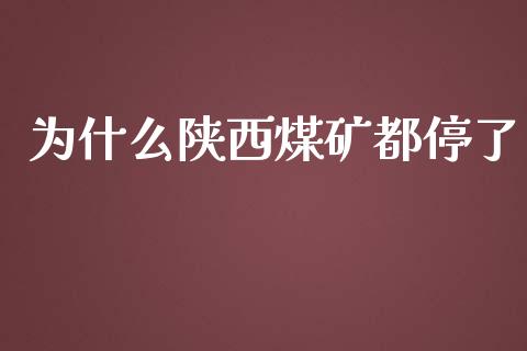 为什么陕西煤矿都停了_https://m.jnlaobingbanjia.com_全球市场_第1张