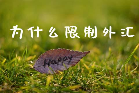 为什么限制外汇_https://m.jnlaobingbanjia.com_基金市场_第1张