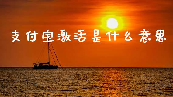 支付宝激活是什么意思_https://m.jnlaobingbanjia.com_理财规划_第1张