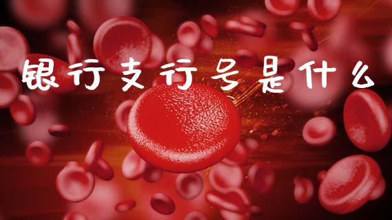 银行支行号是什么_https://m.jnlaobingbanjia.com_理财规划_第1张