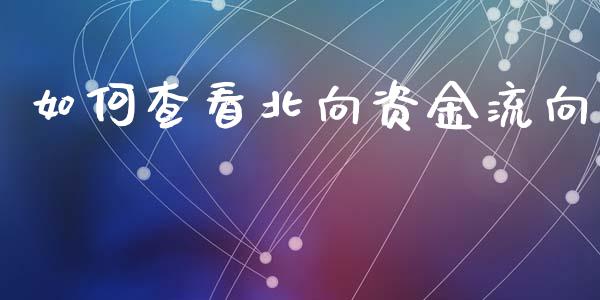 如何查看北向资金流向_https://m.jnlaobingbanjia.com_区块链_第1张