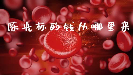 陈光标的钱从哪里来_https://m.jnlaobingbanjia.com_基金市场_第1张