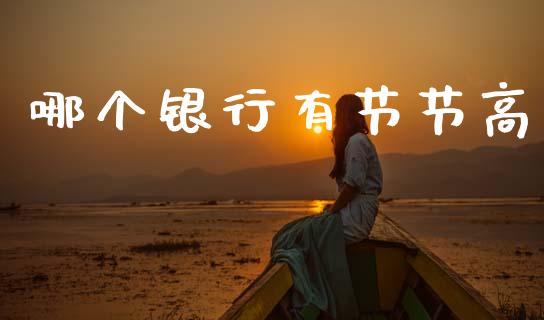 哪个银行有节节高_https://m.jnlaobingbanjia.com_全球市场_第1张
