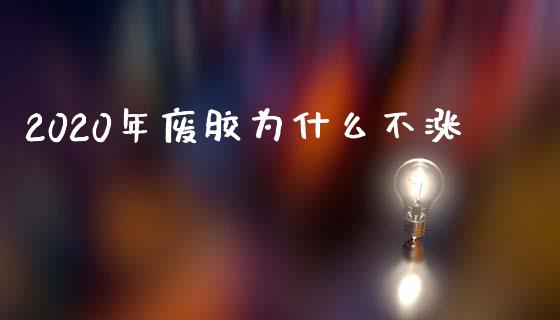 2020年废胶为什么不涨_https://m.jnlaobingbanjia.com_金融监管_第1张