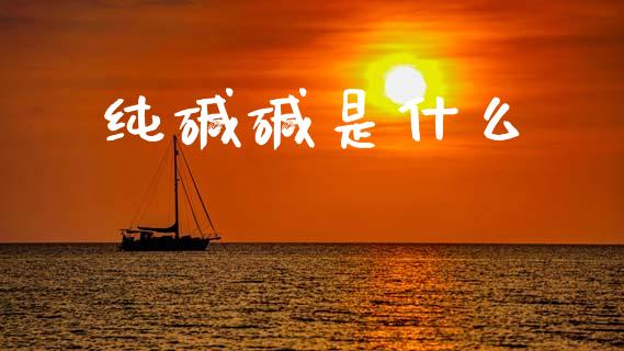 纯碱碱是什么_https://m.jnlaobingbanjia.com_理财规划_第1张