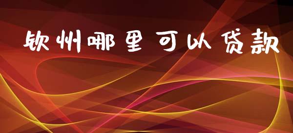 钦州哪里可以贷款_https://m.jnlaobingbanjia.com_基金市场_第1张