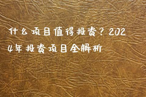 什么项目值得投资？2024年投资项目全解析_https://m.jnlaobingbanjia.com_金融监管_第1张