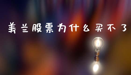 美兰股票为什么买不了_https://m.jnlaobingbanjia.com_区块链_第1张