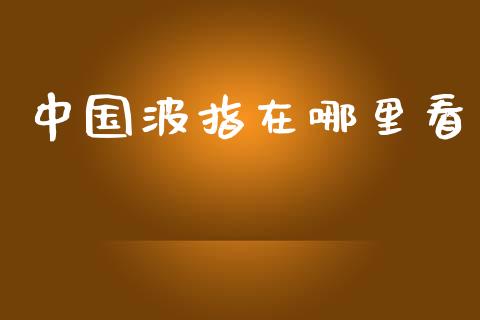 中国波指在哪里看_https://m.jnlaobingbanjia.com_金融监管_第1张