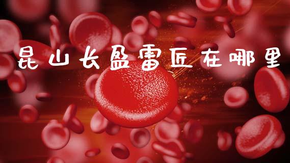 昆山长盈雷匠在哪里_https://m.jnlaobingbanjia.com_全球市场_第1张