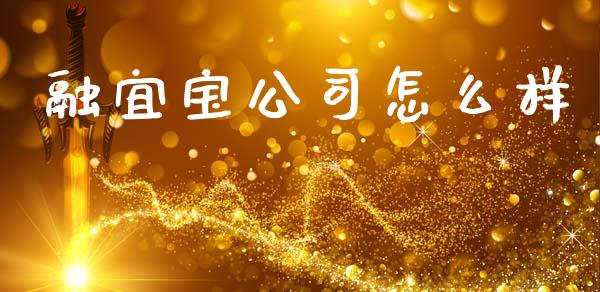 融宜宝公司怎么样_https://m.jnlaobingbanjia.com_基金市场_第1张
