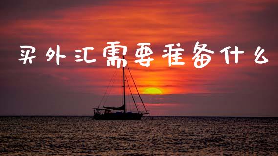 买外汇需要准备什么_https://m.jnlaobingbanjia.com_区块链_第1张