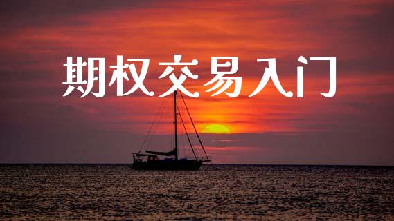期权交易入门_https://m.jnlaobingbanjia.com_理财规划_第1张