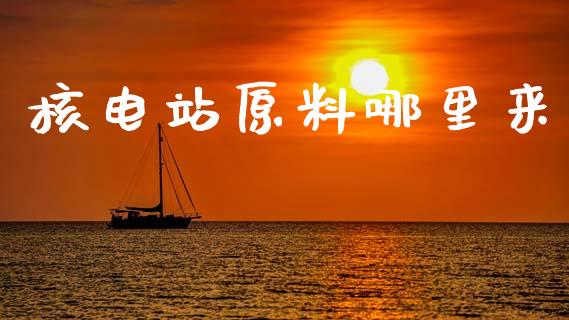 核电站原料哪里来_https://m.jnlaobingbanjia.com_金融监管_第1张