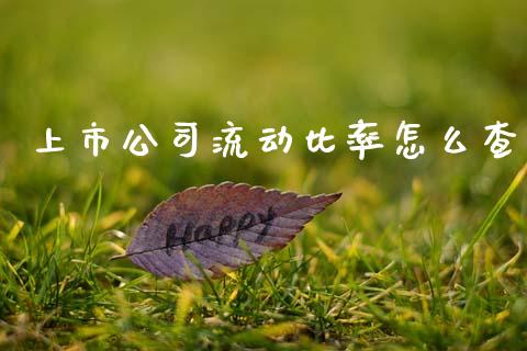 上市公司流动比率怎么查_https://m.jnlaobingbanjia.com_全球市场_第1张