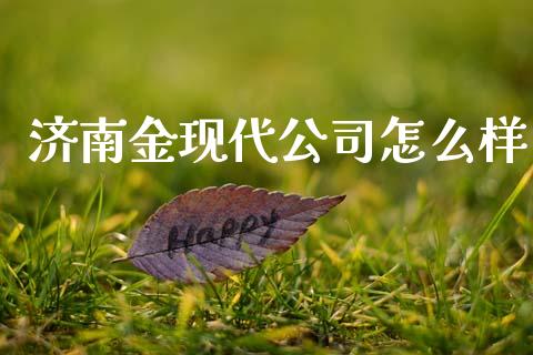 济南金现代公司怎么样_https://m.jnlaobingbanjia.com_理财规划_第1张