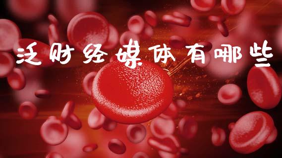 泛财经媒体有哪些_https://m.jnlaobingbanjia.com_基金市场_第1张
