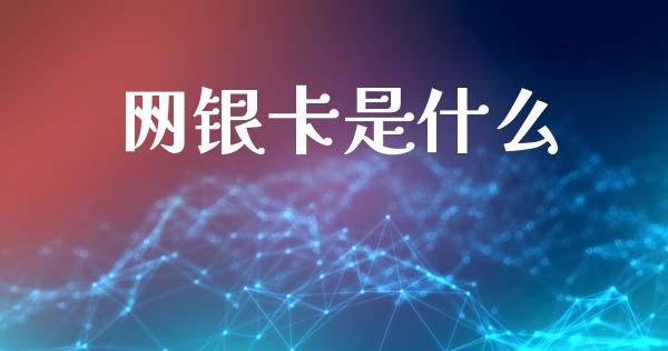 网银卡是什么_https://m.jnlaobingbanjia.com_理财规划_第1张