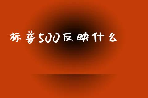 标普500反映什么_https://m.jnlaobingbanjia.com_理财规划_第1张