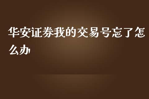 华安证券我的交易号忘了怎么办_https://m.jnlaobingbanjia.com_区块链_第1张