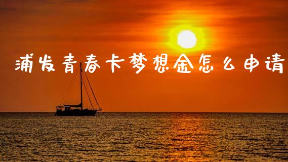 浦发青春卡梦想金怎么申请_https://m.jnlaobingbanjia.com_金融监管_第1张