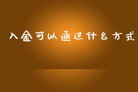 入金可以通过什么方式_https://m.jnlaobingbanjia.com_股市新闻_第1张