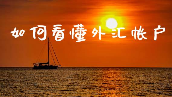 如何看懂外汇帐户_https://m.jnlaobingbanjia.com_金融监管_第1张