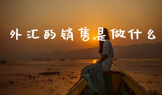 外汇的销售是做什么_https://m.jnlaobingbanjia.com_全球市场_第1张