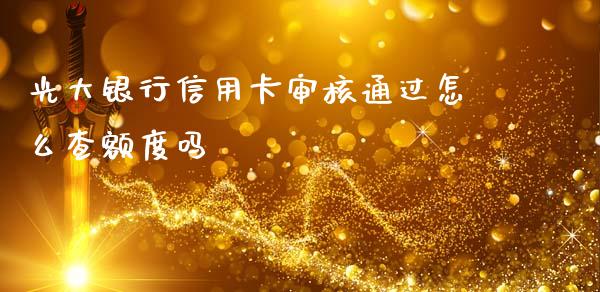 光大银行信用卡审核通过怎么查额度吗_https://m.jnlaobingbanjia.com_基金市场_第1张
