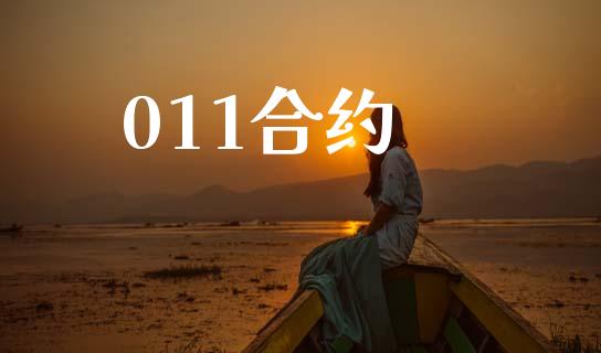 011合约_https://m.jnlaobingbanjia.com_理财规划_第1张
