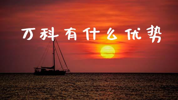 万科有什么优势_https://m.jnlaobingbanjia.com_基金市场_第1张