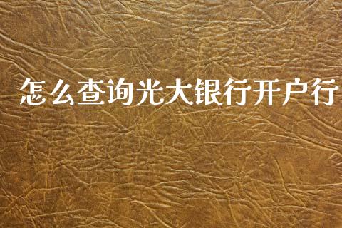怎么查询光大银行开户行_https://m.jnlaobingbanjia.com_股市新闻_第1张