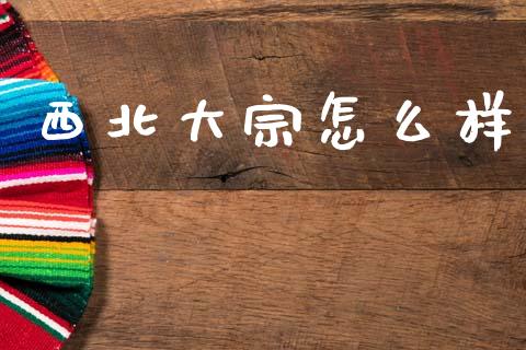 西北大宗怎么样_https://m.jnlaobingbanjia.com_股市新闻_第1张