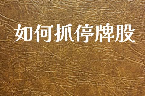 如何抓停牌股_https://m.jnlaobingbanjia.com_全球市场_第1张
