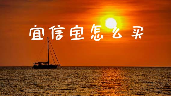 宜信宝怎么买_https://m.jnlaobingbanjia.com_理财规划_第1张