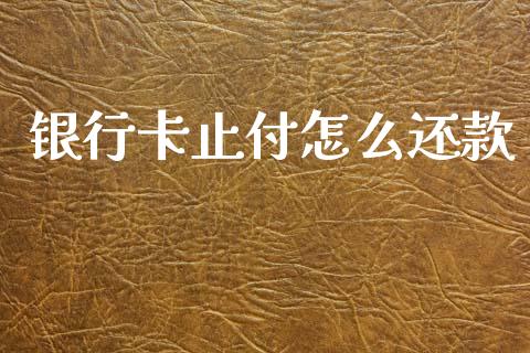 银行卡止付怎么还款_https://m.jnlaobingbanjia.com_理财规划_第1张