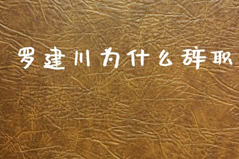 罗建川为什么辞职_https://m.jnlaobingbanjia.com_理财规划_第1张